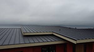 Best Green or Eco-Friendly Roofing Solutions  in Irvington, NY